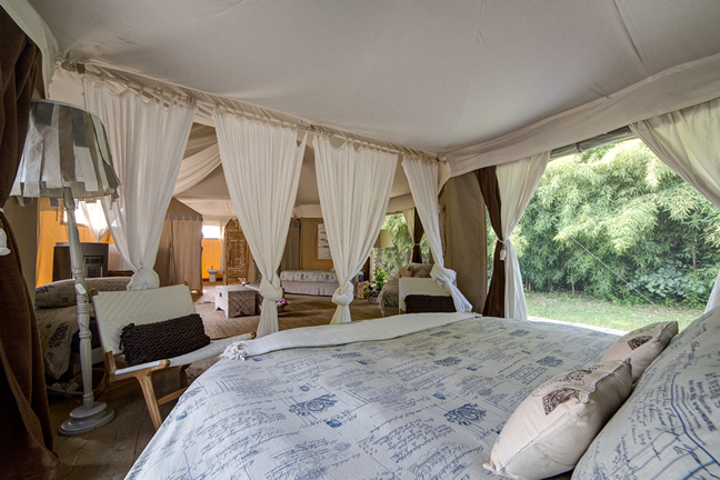 glamping and luxury tents